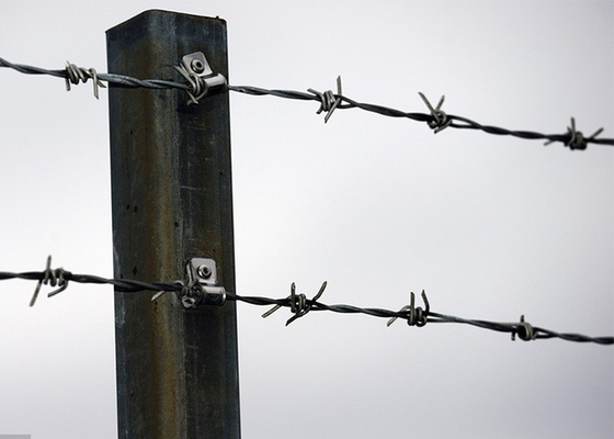 Use Of Prison Walls Anti Climb Galvanized Barbed Wire Roll