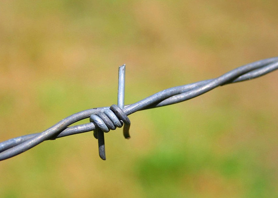 Use Of Prison Walls Single Strand Stainless Steel Barbed Wire Price Per Roll