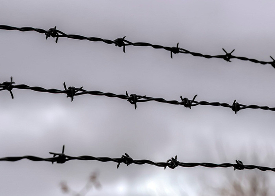 Use Of Prison Walls Double Twisted PVC Coated /Galvanized Barbed Wire Coils