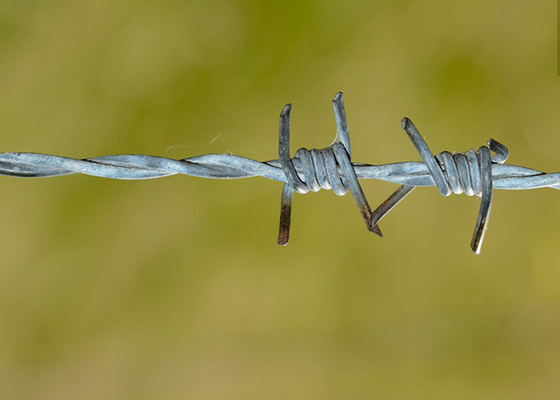 Use Of Prison Walls Double Twisted PVC Coated /Galvanized Barbed Wire Coils