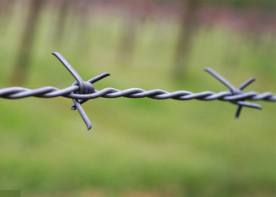 Use Of Prison Walls 50kg  Double Strand Reverse Twist Electro Barbed Wire Roll