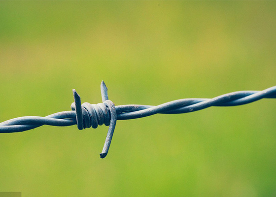 Use Of Prison Walls 50kg  Double Strand Reverse Twist Electro Barbed Wire Roll