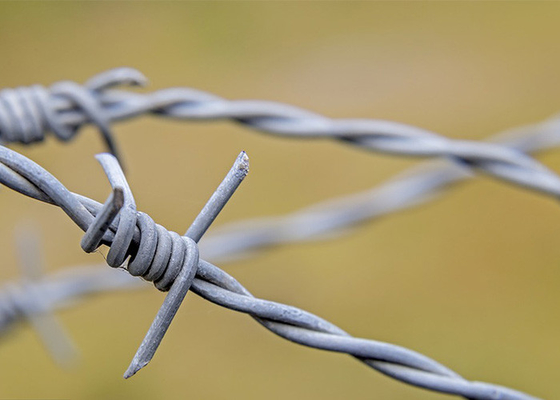 Use Of Prison Walls Length 200m Stainless Steel Barbed Wire Price Per Roll