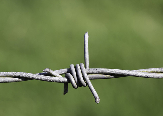 Use Of Prison Walls Double Strand Traditional Twist Galvanized Barbed Wire Coils