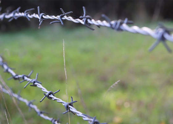 Use Of Prison Walls Double Strand Reverse Twist Stainless Steel Barbed Wire