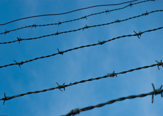 Use Of Prison Walls 50kg Double Strand Traditional Twist Barbed Wire Roll