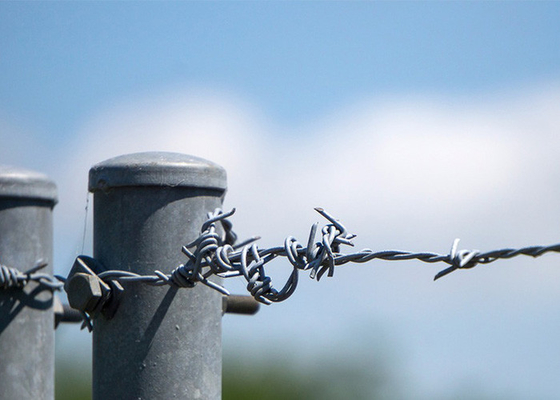 Use Of Prison Walls Length 200m  Single Strand Hot Dipped Galvanized Barbed Wire