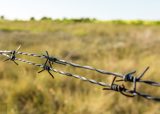 Use Of Prison Walls 12.5 Gauge  Double Twisted  Galvanized Barbed Wire