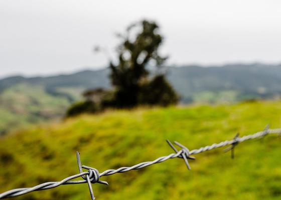 Garden Anti-Theft Single Strand Hot Dipped Galvanized Barbed Wire Price Per Roll