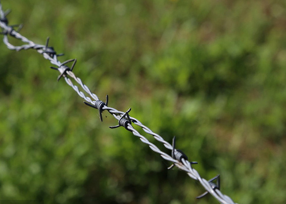 Garden Anti-Theft Double Strand Reverse Twist Hot Dipped Galvanized Barbed Wire Roll