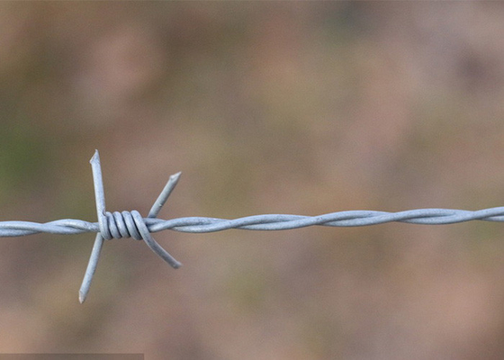 Garden Anti-Theft Double Strand Traditional Twist Electro Barbed Wire Coils