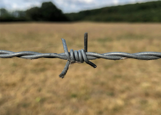 Garden Anti-Theft Double Twisted Hot Dipped Galvanized Barbed Wire Coils