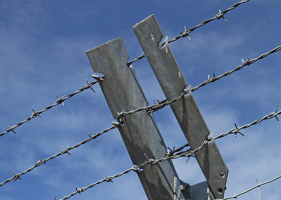 Garden Anti-Theft Anti Climb Double Strand Reverse Twist Barbed Wire