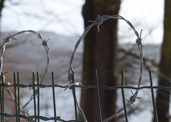 Garden Anti-Theft Anti Climb hot dip Galvanized Barbed Wire Roll