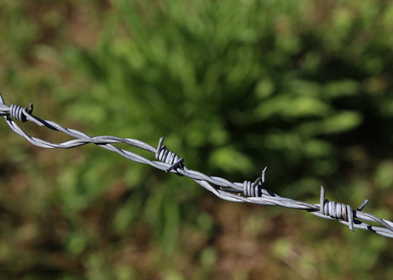 Garden Anti-Theft Twist 3or 4inch Barb Distanc Hot Dipped Galvanized Barbed Wire