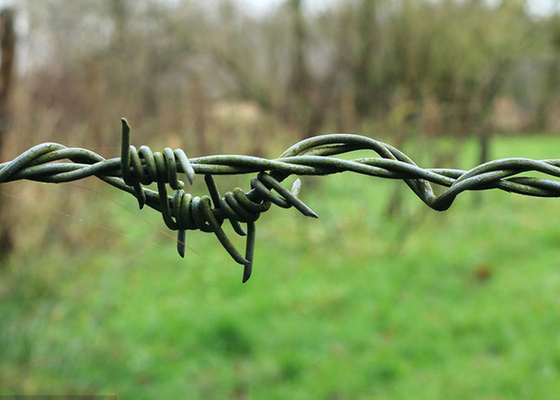 Garden Anti-Theft 50kg  Double Strand Reverse Twist Electro Barbed Wire Roll