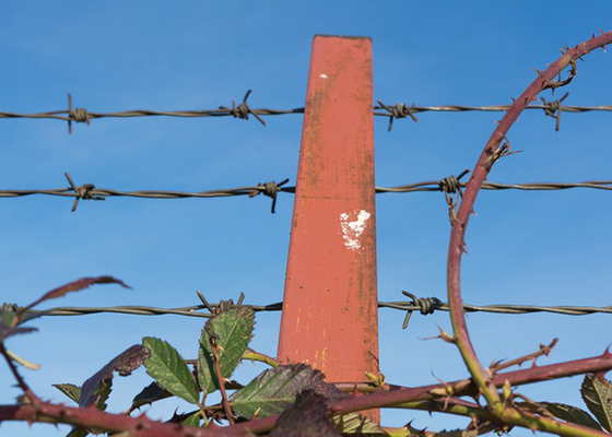Hot-dipped Galvanized Security Barbed Wire High-Diameter Wire for Secure Boundaries