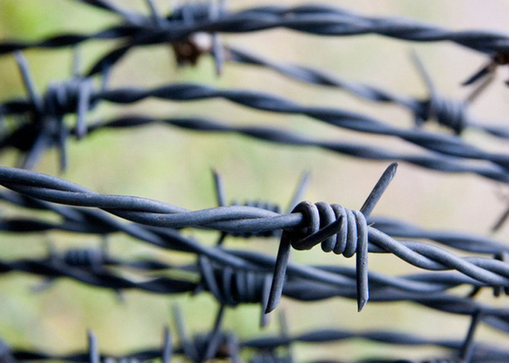 Hot-dipped Galvanized Security Barbed Wire High-Diameter Wire for Secure Boundaries