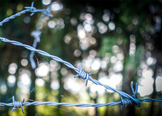 Garden Anti-Theft Double Strand Traditional Twist Galvanized Barbed Wire Coils