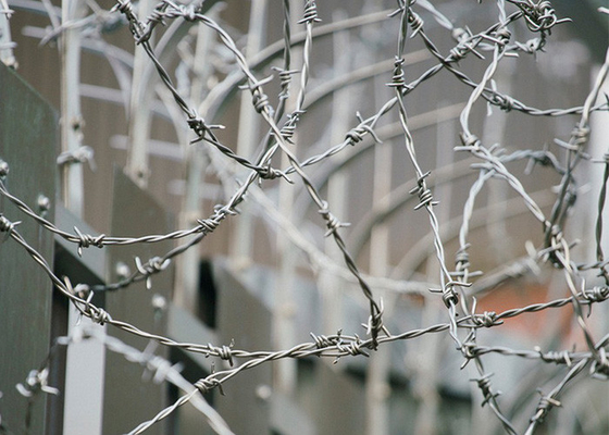 Garden Anti-Theft PVC Coated /Galvanized Barbed Wire Coils Fence