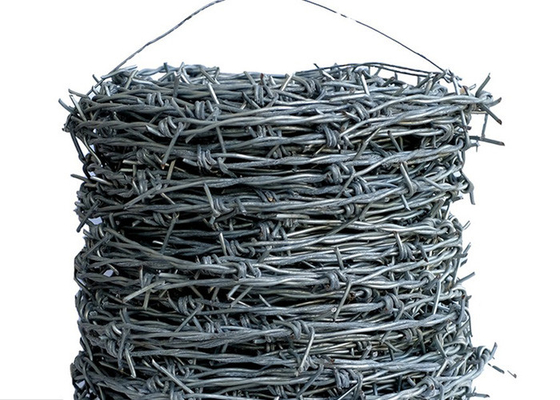 Garden Anti-Theft Double Strand Reverse Twist Stainless Steel Barbed Wire