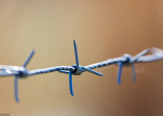 Garden Anti-Theft 50kg Double Strand Traditional Twist Barbed Wire Roll