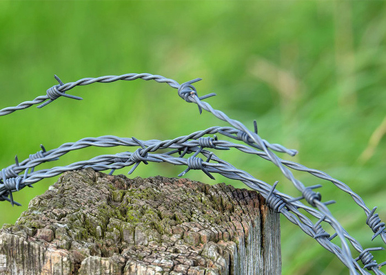 Garden Anti-Theft Length 200m Single Strand Hot Dipped Galvanized Barbed Wire