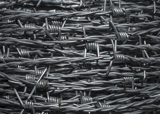 Farm Protection Double Strand Traditional Twist Barbed Wire Fence