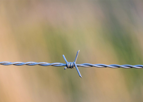 Farm Protection Single Strand Hot Dipped Galvanized Barbed Wire Price Per Roll