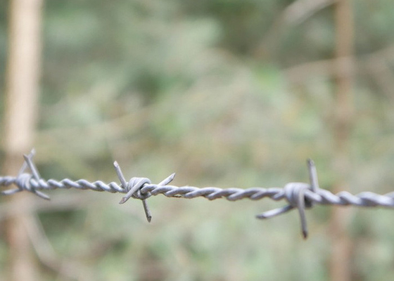 Farm Protection Double Strand Reverse Twist Hot Dipped Galvanized Barbed Wire Roll