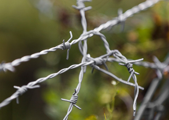 Farm Protection Double Strand Traditional Twist Electro Barbed Wire Coils