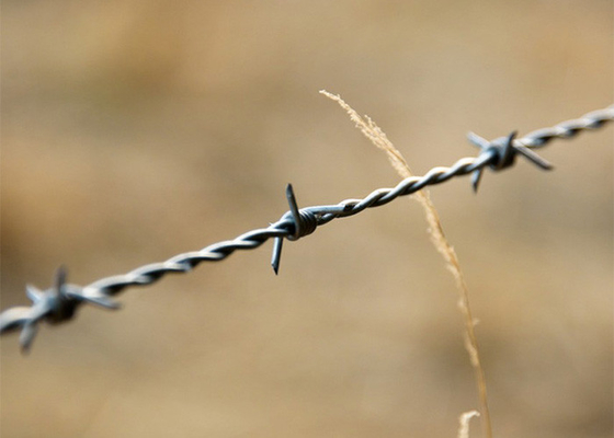 Farm Protection Double Twisted Hot Dipped Galvanized Barbed Wire Coils