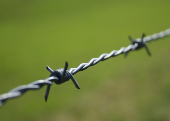 Farm Protection Anti Climb Double Strand Reverse Twist Barbed Wire