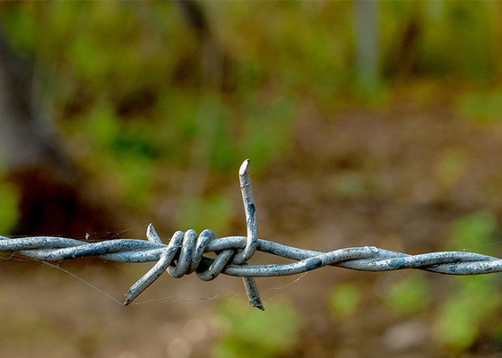 Farm Protection Anti Climb hot dip Galvanized Barbed Wire Roll