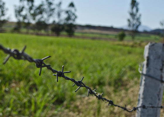 Construction Protection Galvanized/Galvanized Barbed Wire Price Per Roll