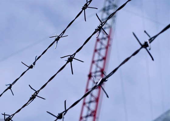 Construction Protection PVC Coated/Electro Barbed Wire Coils