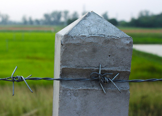 Farm Protection 50kg  Double Strand Reverse Twist Electro Barbed Wire Roll