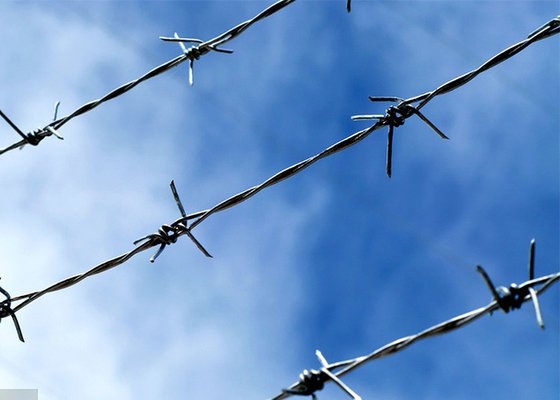 Farm Protection Length 200m Stainless Steel Barbed Wire Price Per Roll