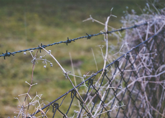 Farm Protection PVC Coated /Galvanized Barbed Wire Coils Fence