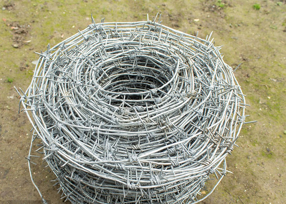 Farm Protection Single Strand Hot Dipped Galvanized Steel Barbed Wire