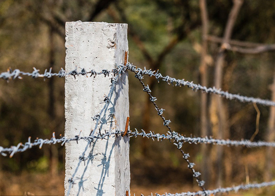 Farm Protection 12.5 Gauge  Double Twisted  Galvanized Barbed Wire
