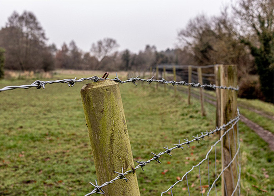 3or 4inch Barb Distance Double Twisted Hot Dipped Galvanized Barbed Wire