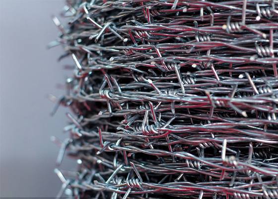 14gauge Double Strand Reverse Twist Stainless Steel Barbed Wire Coils
