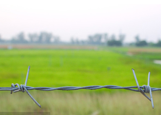 500 Meters Double Twisted PVC Coated Steel Barbed Wire Price Per Roll