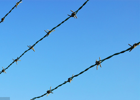 Fence Construction Protection 3or 4inch Barb Distance Electro Barbed Wire