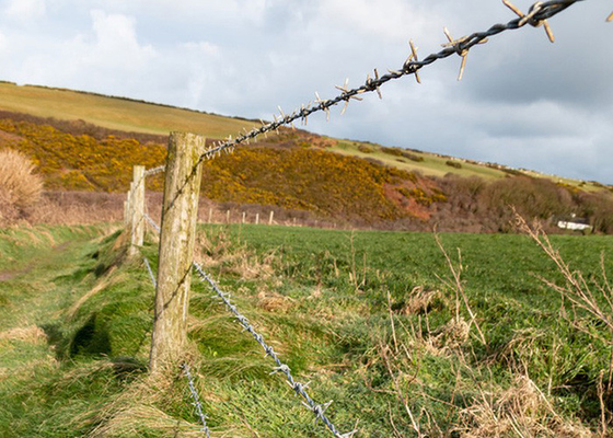 Fence Construction Protection Double Strand Reverse Twist PVC Coated Barbed Wire