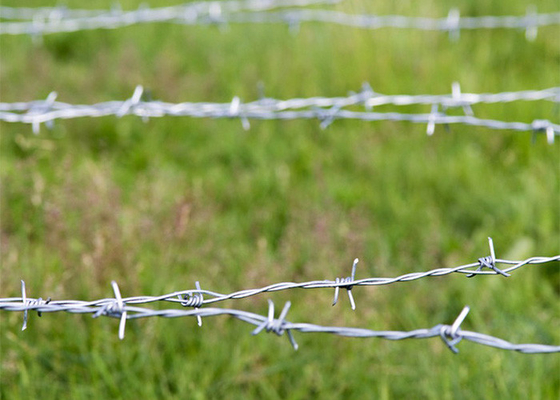 Rust Resistance 3or 4inch Barb Distance Double Strand Reverse Twist Barbed Wire