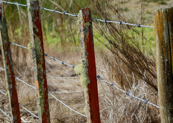 Convenient and Easy to Maintain Barbed Wire for Security Needs