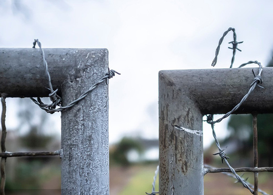 Rust Resistance Twist 3or 4inch Barb Distanc Hot Dipped Galvanized Barbed Wire