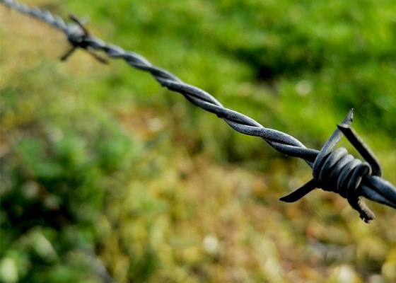 Electro-Galvanized 	Security Barbed Wire For Isolating And Protecting